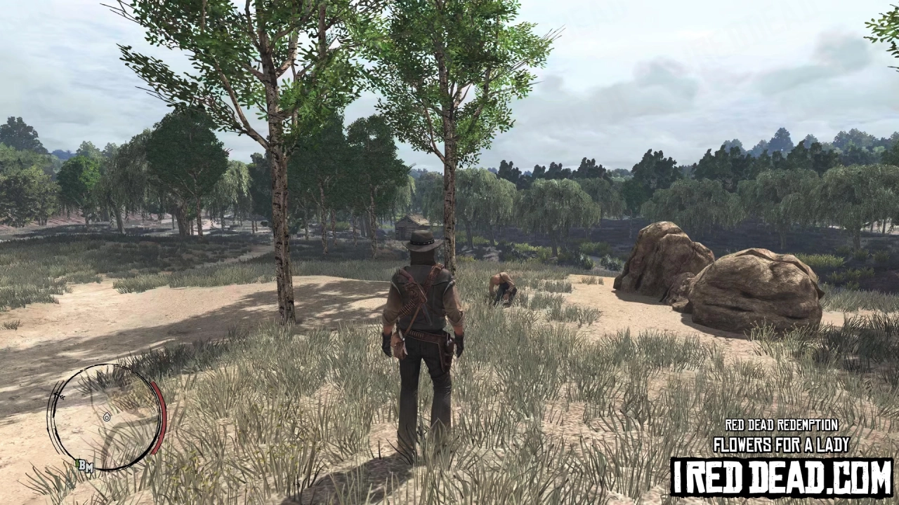 Red Dead Redemption Flowers For A Lady 1