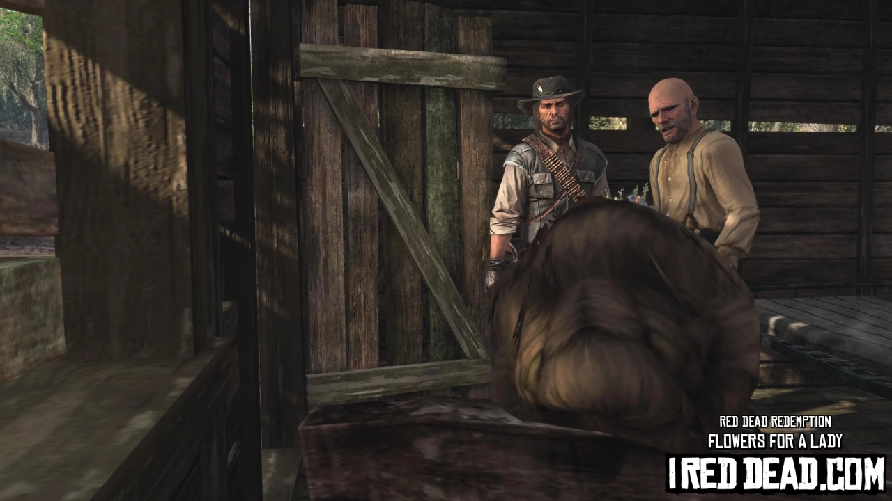 Red Dead Redemption Flowers For A Lady 12