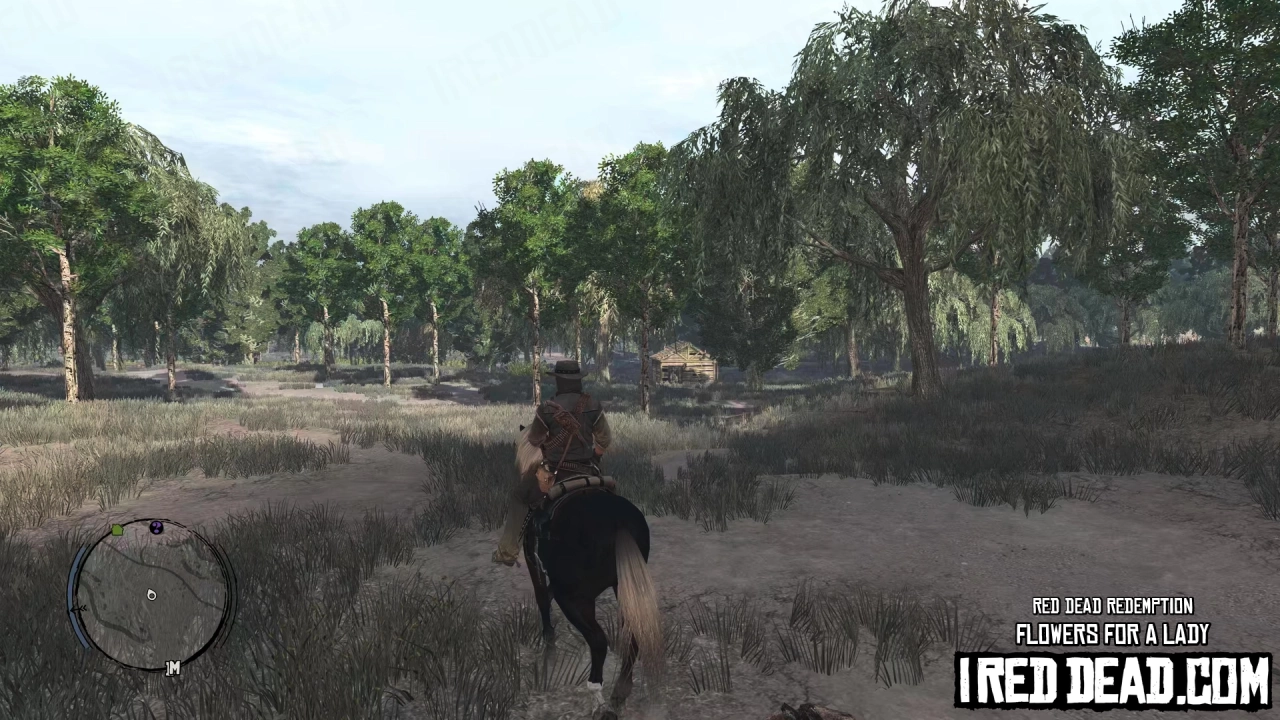 Red Dead Redemption Flowers For A Lady 9