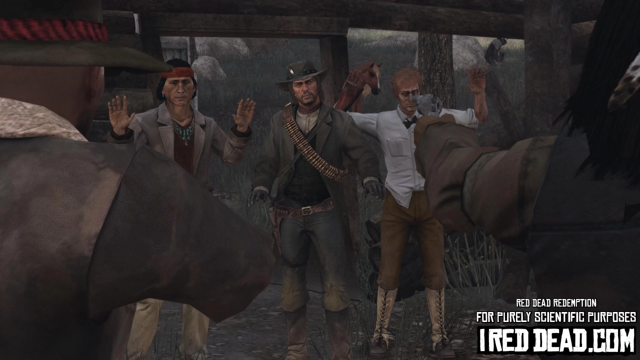 Red Dead Redemption For Purely Scientific Purposes 11