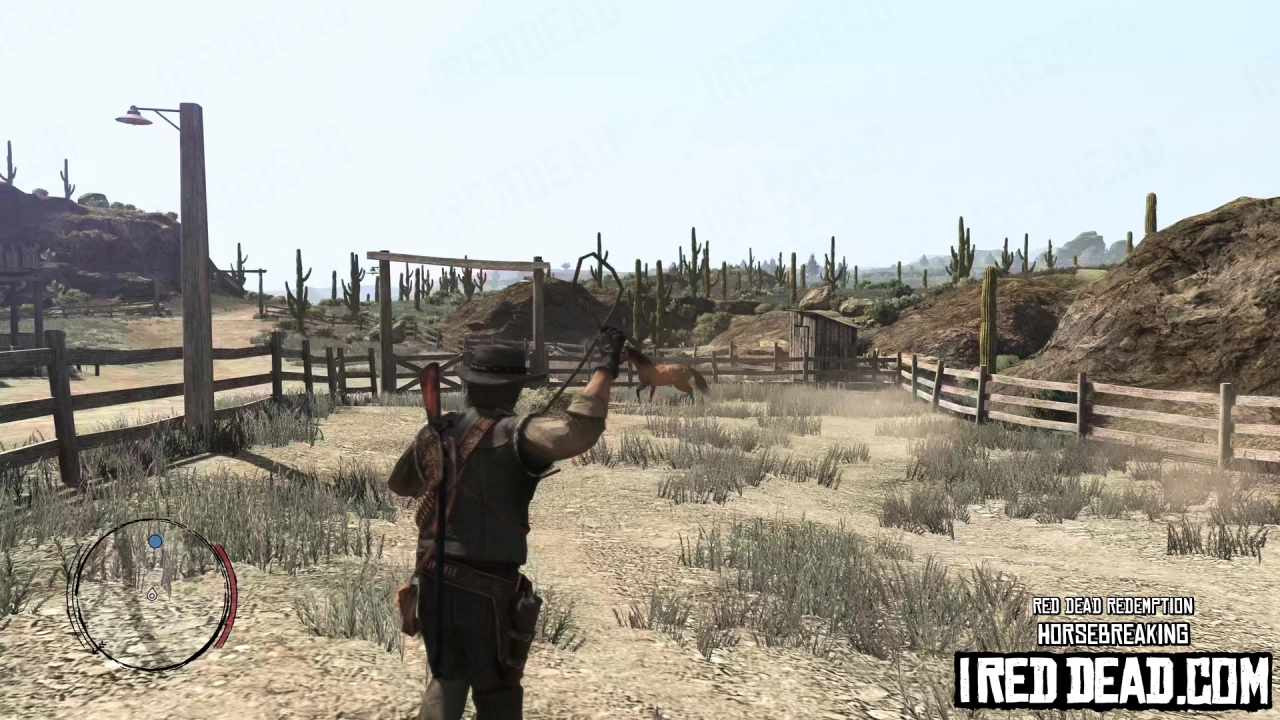 Red Dead Redemption Horsebreaking 5