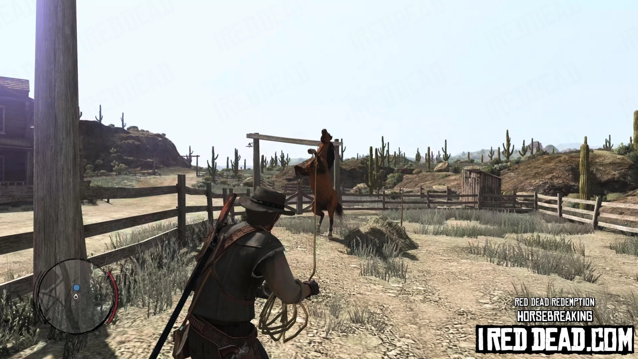 Red Dead Redemption Horsebreaking 6
