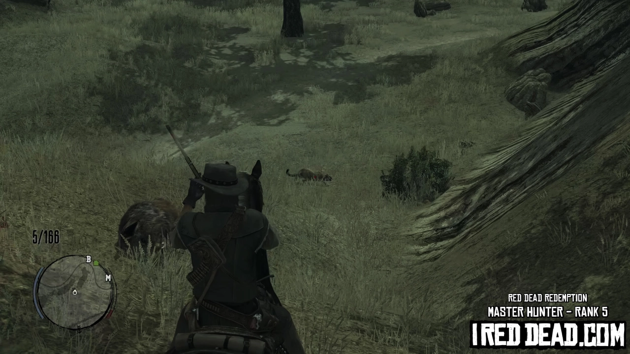 Red Dead Redemption Master Hunter Cougar 1