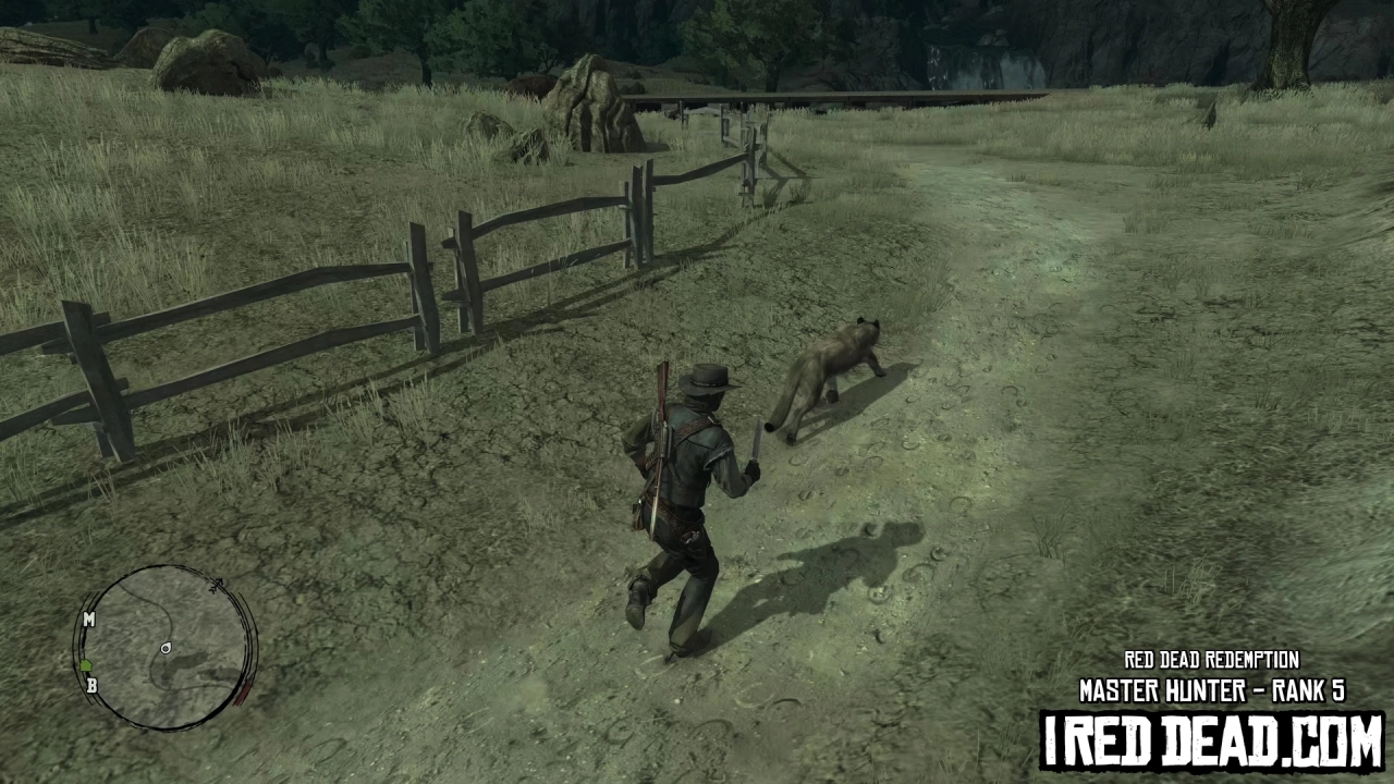Red Dead Redemption Master Hunter Cougar 2