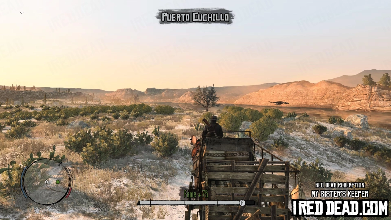 Red Dead Redemption My Sisters Keeper 26