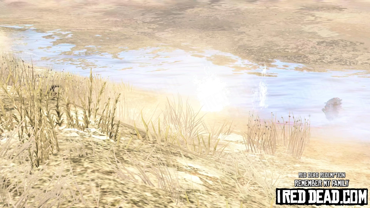 Red Dead Redemption Remember My Family 36