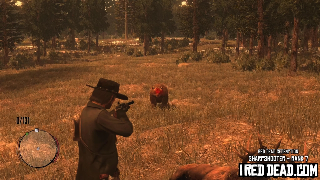 Red Dead Redemption Sharpshooter Bear 2