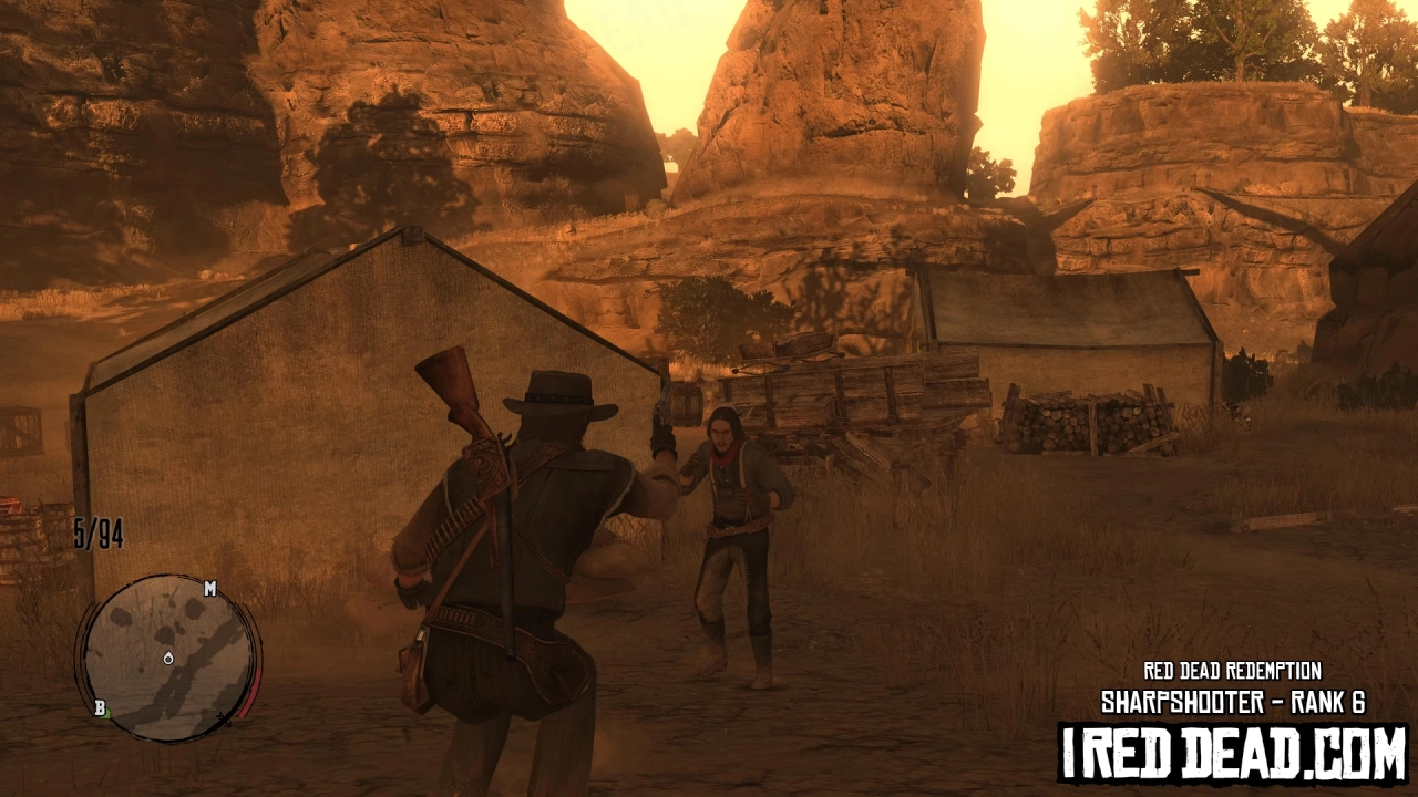 Red Dead Redemption Sharpshooter Hat 2
