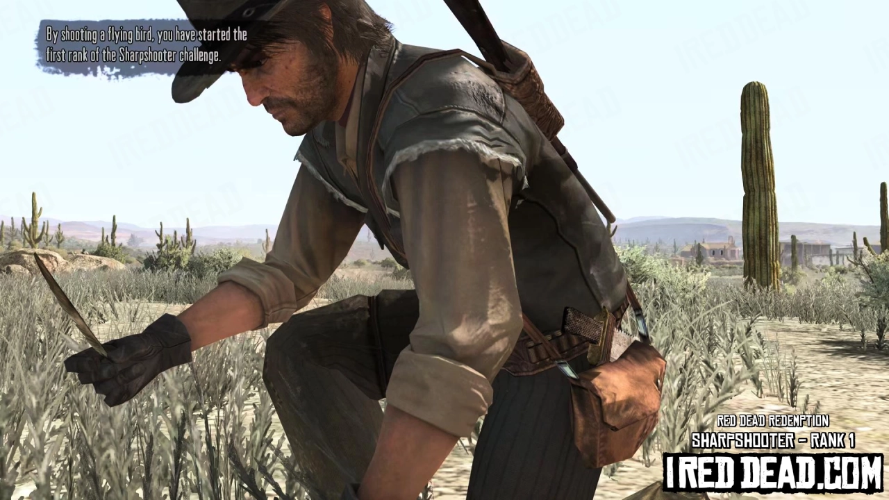 Red Dead Redemption Sharpshooter Rank 1 Started