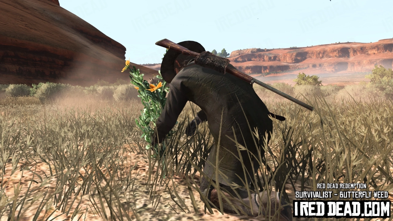Red Dead Redemption Survivalist Butterfly Weed