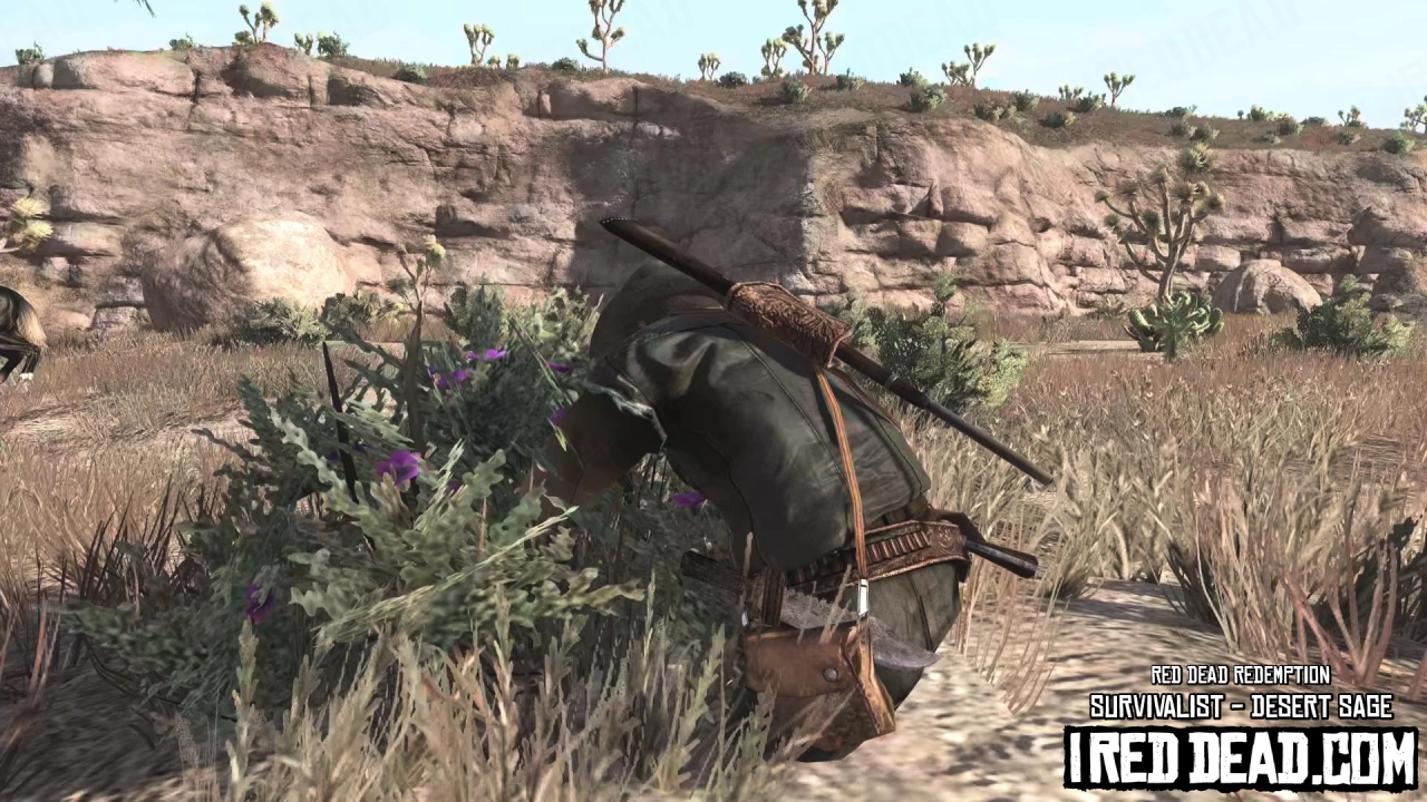Red Dead Redemption Survivalist Desert Sage