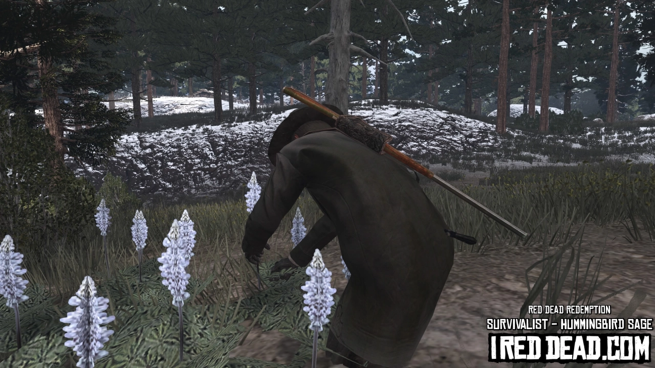Red Dead Redemption Survivalist Hummingbird Sage