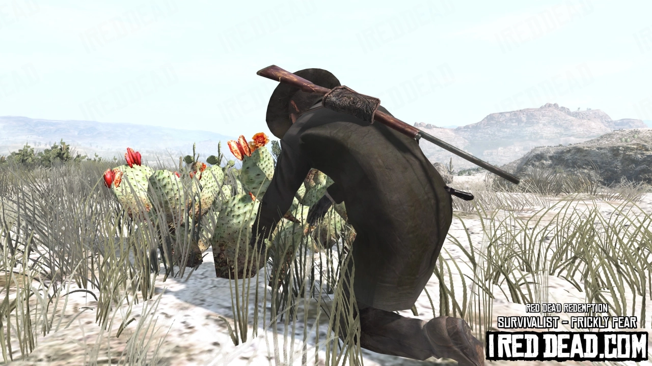 Red Dead Redemption Survivalist Prickly Pear