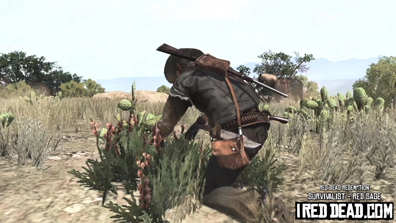 Red Dead Redemption Survivalist Red Sage