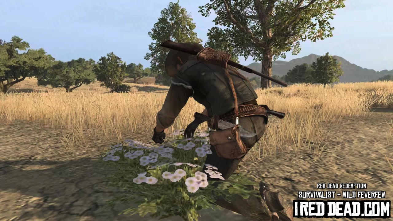 Red Dead Redemption Survivalist Wild Feverfew