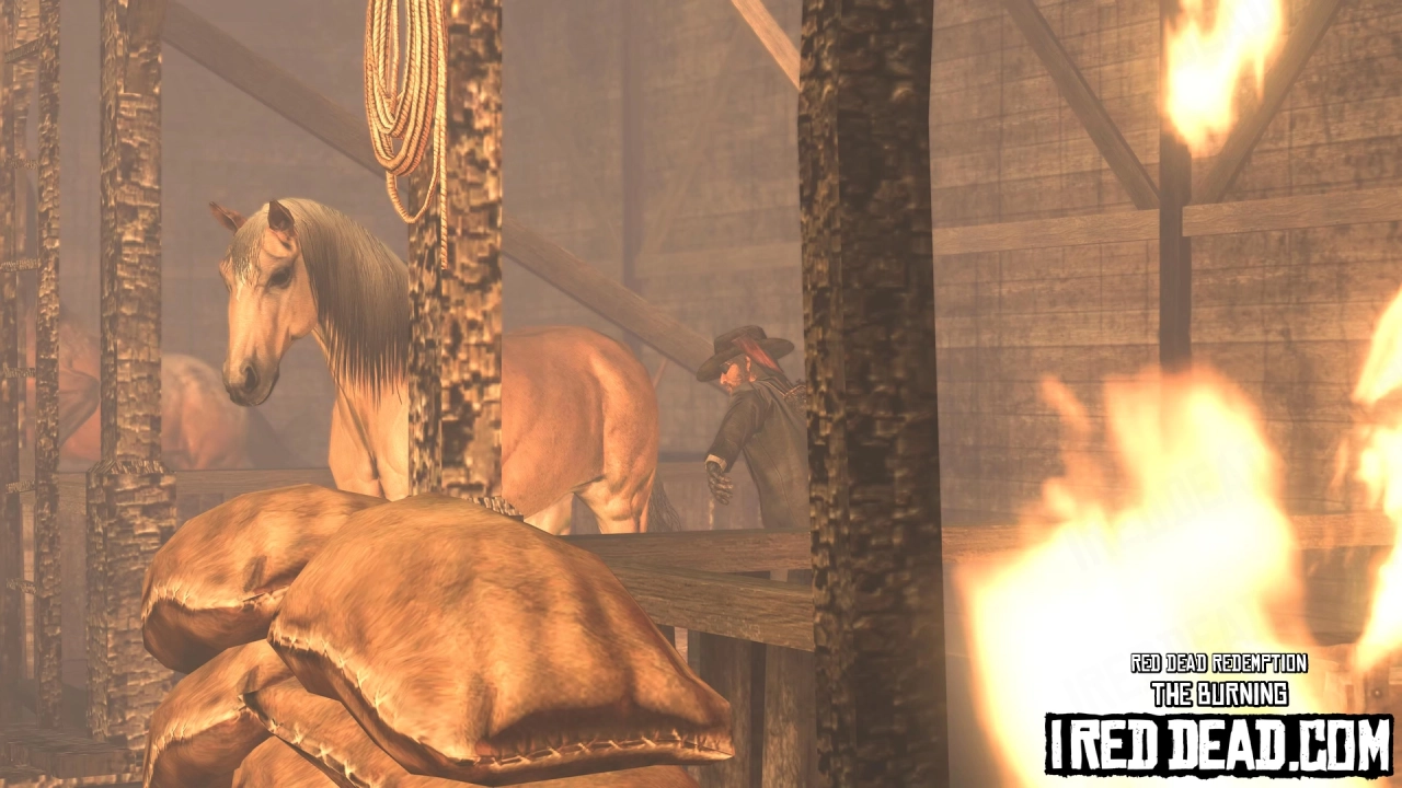 Red Dead Redemption The Burning 37