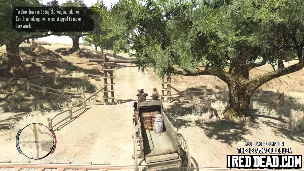 Red Dead Redemption This Is Armadillo, USA 8