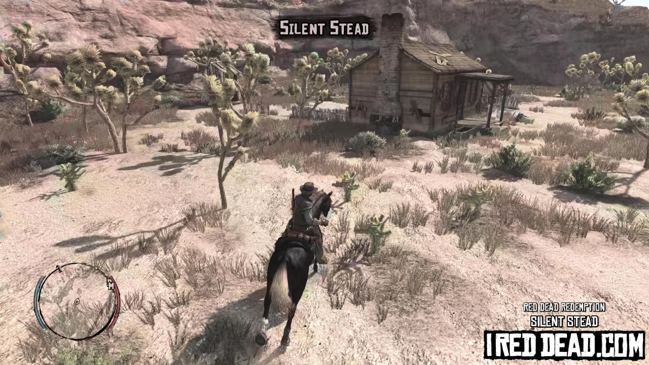 Red Dead Redemption Treasure Hunter Silent Stead 1