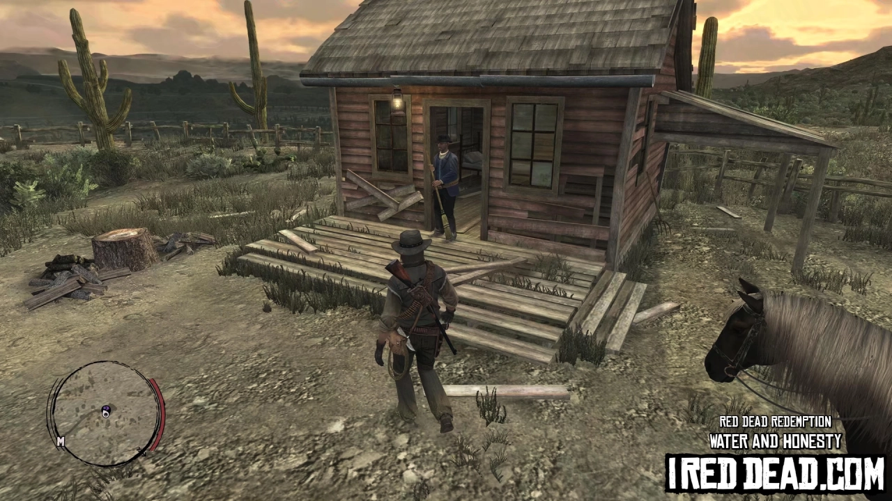 Red Dead Redemption Water And Honesty 10