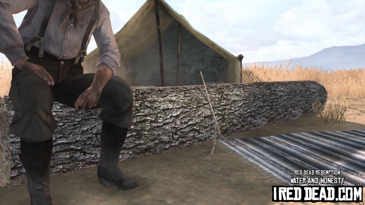 Red Dead Redemption Water And Honesty 4
