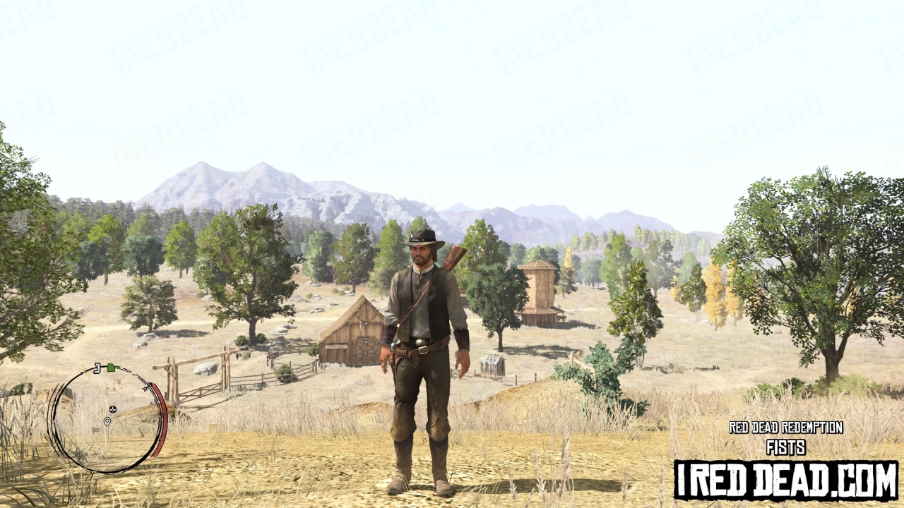 Red Dead Redemption Weapons Fists