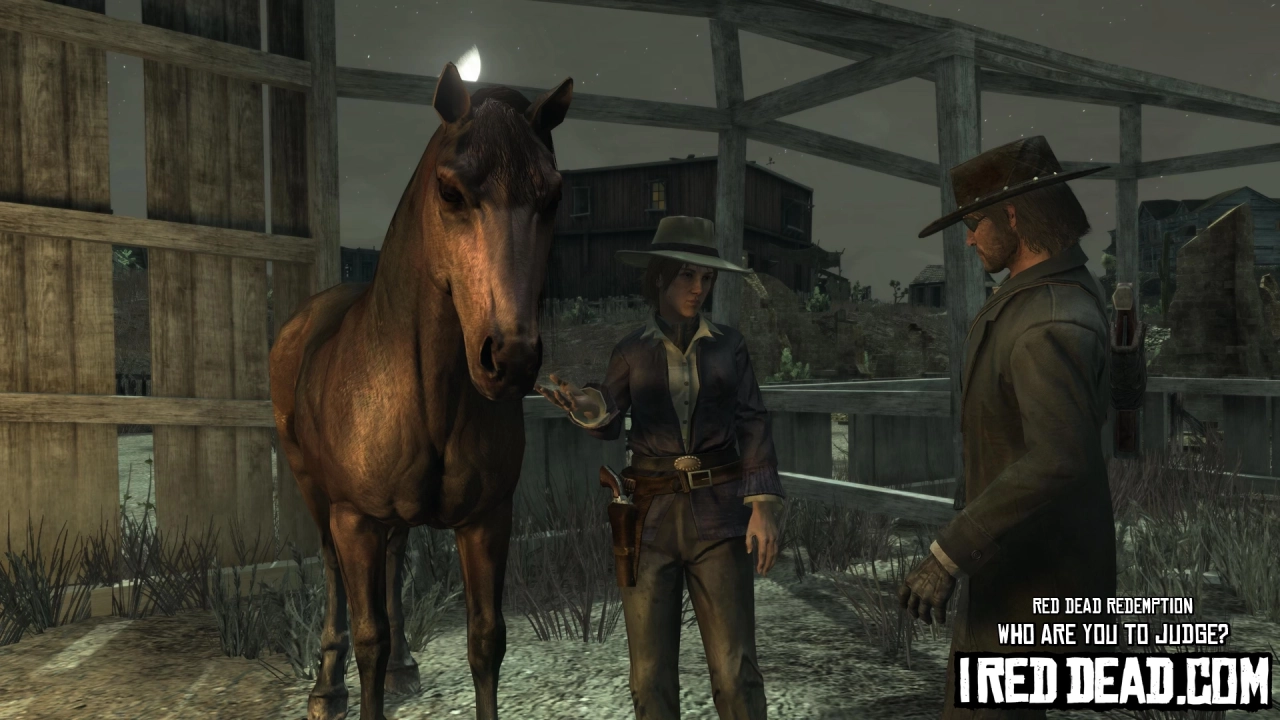 Red Dead Redemption Who Are You To Judge 11