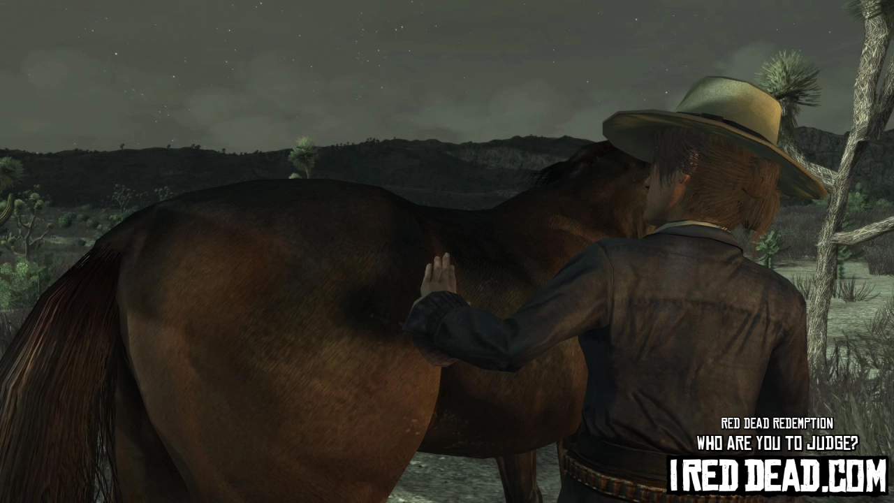 Red Dead Redemption Who Are You To Judge 8