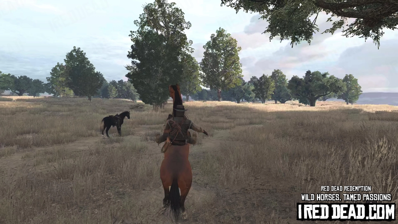 Red Dead Redemption Wild Horses, Tamed Passions 14