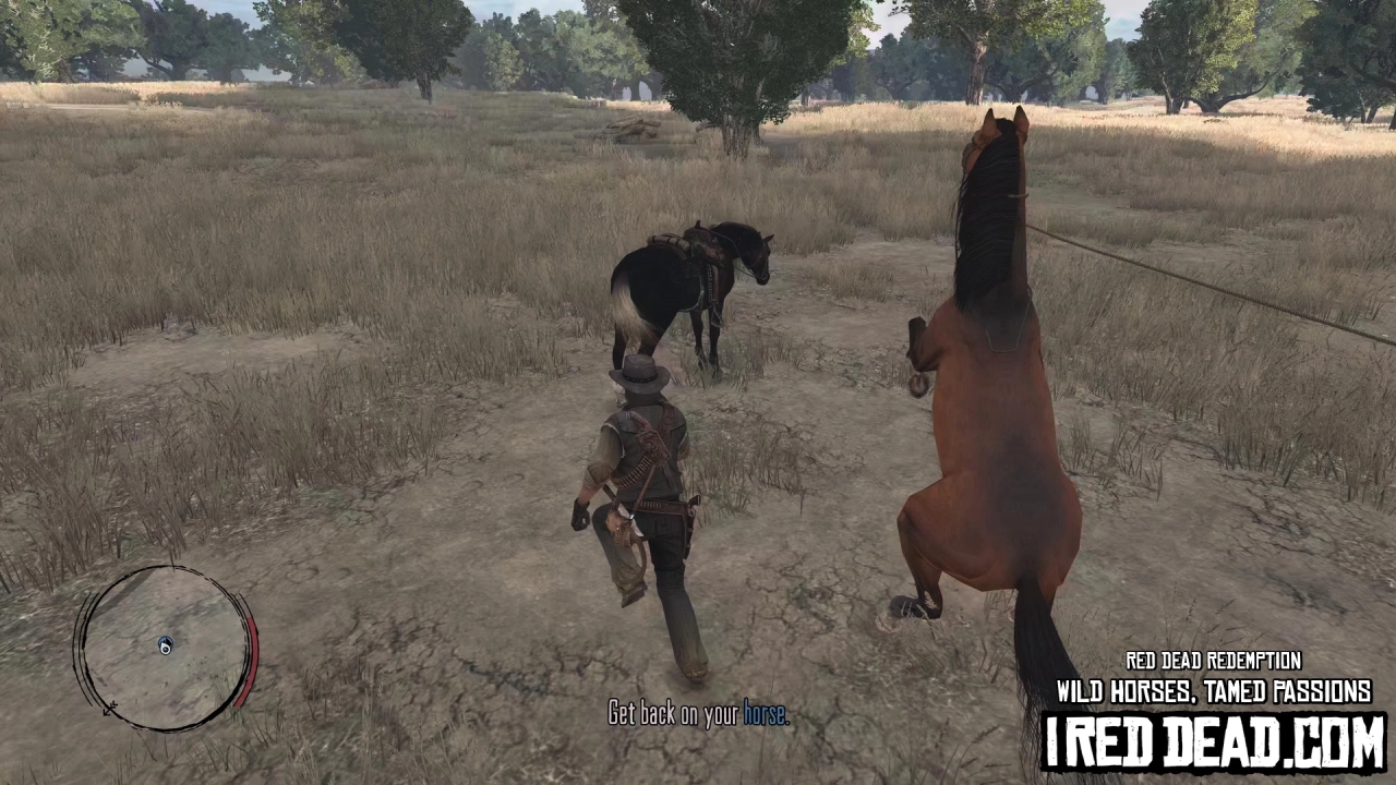 Red Dead Redemption Wild Horses, Tamed Passions 15