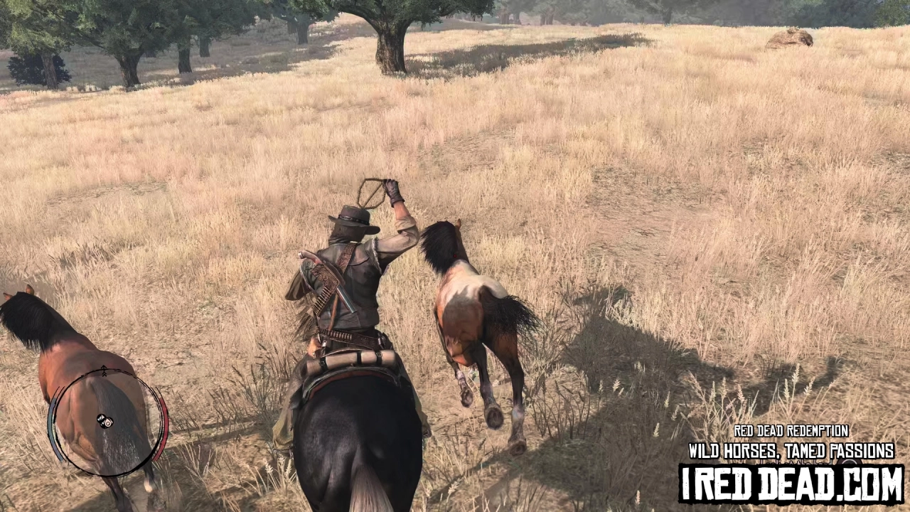 Red Dead Redemption Wild Horses, Tamed Passions 17