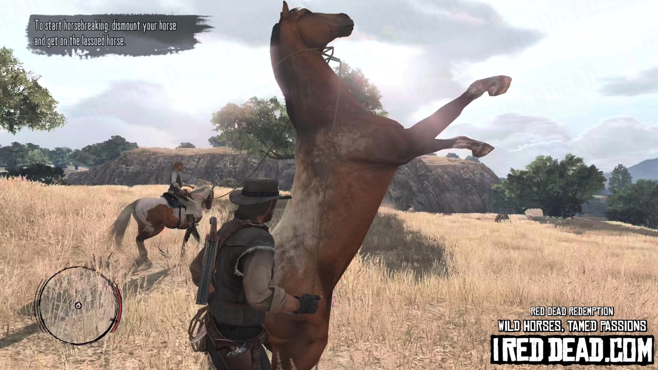 Red Dead Redemption Wild Horses, Tamed Passions 19