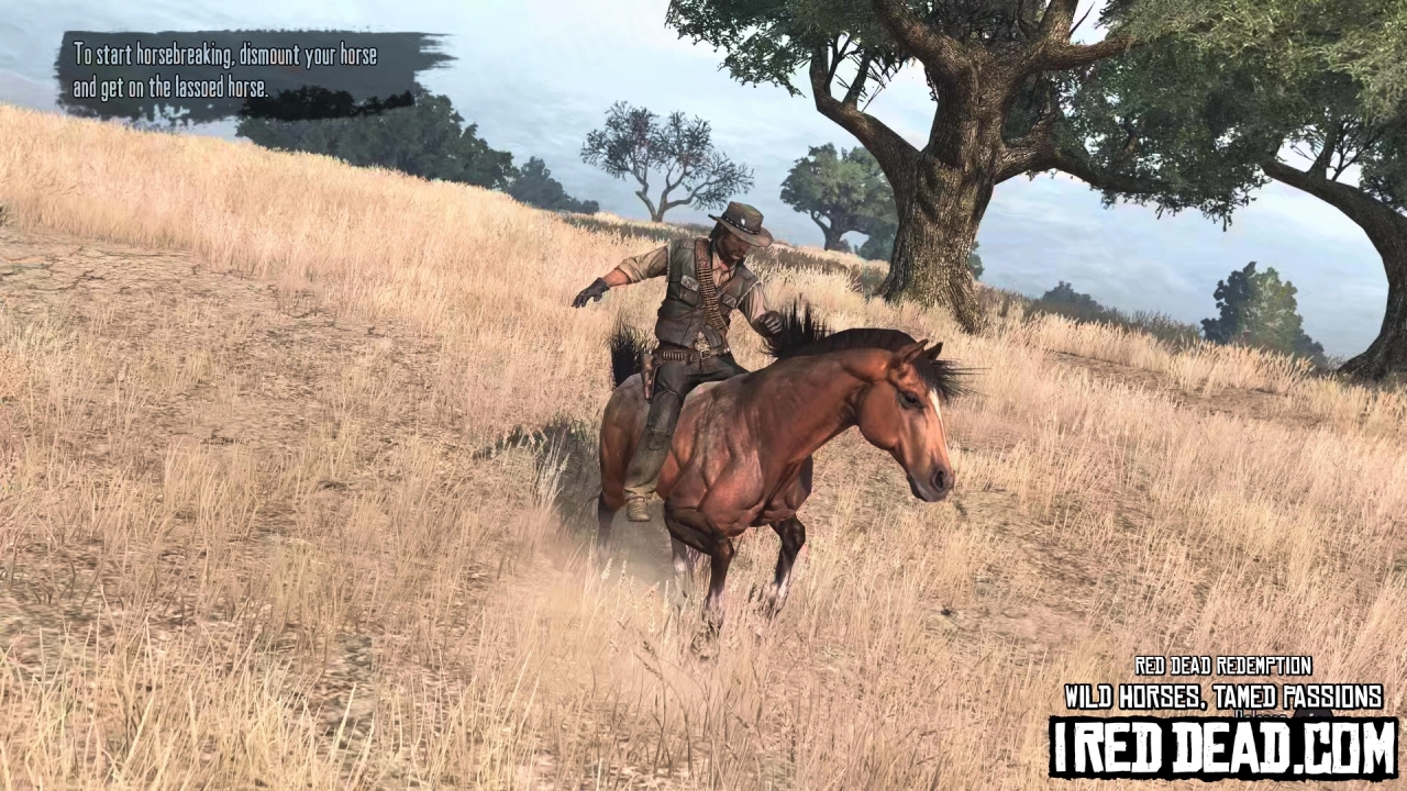 Red Dead Redemption Wild Horses, Tamed Passions 20