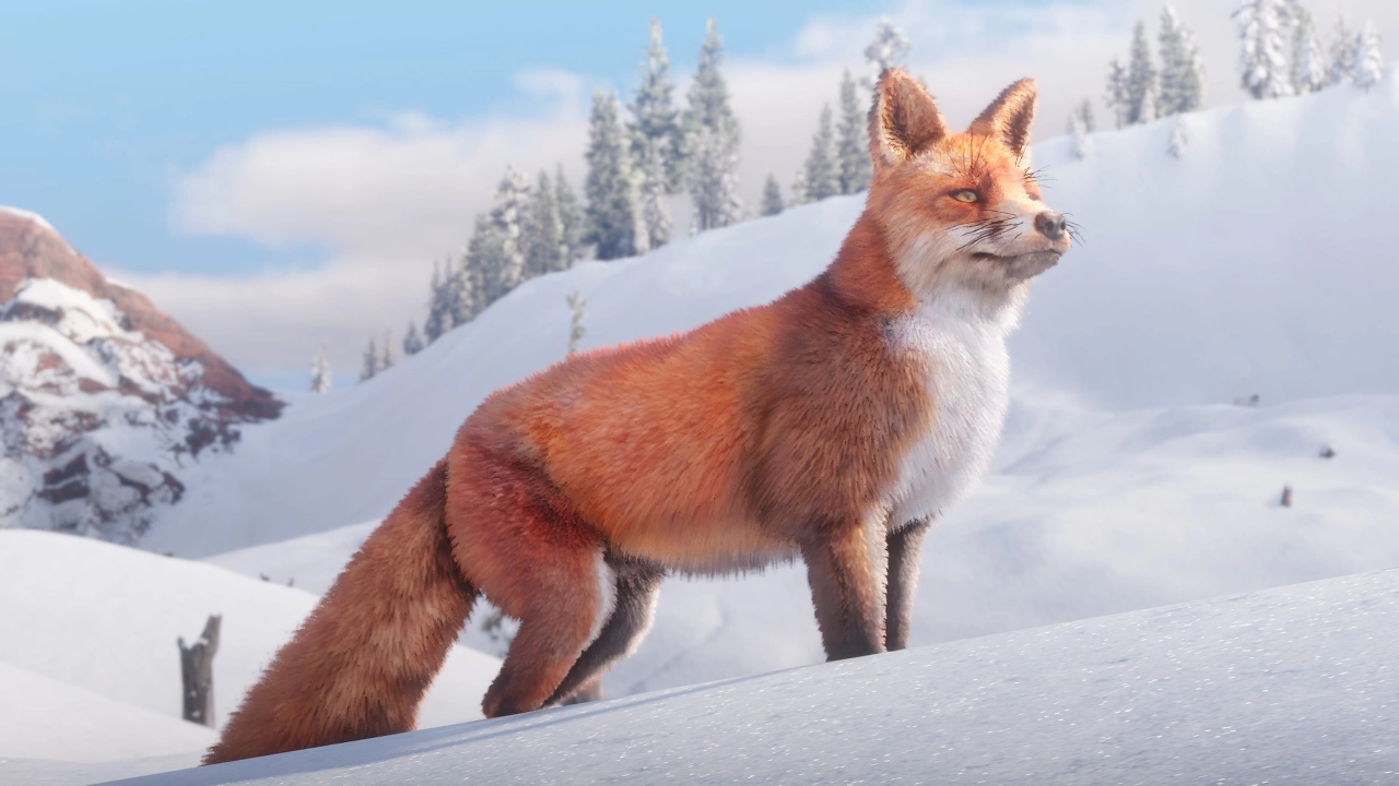 Red Fox