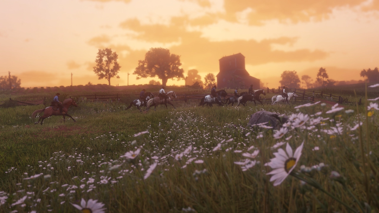 Riding through the daisies