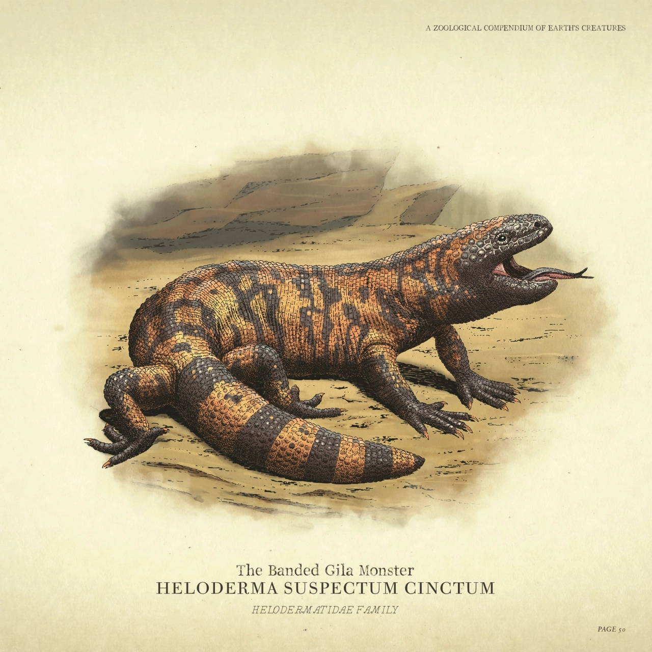 Wildlife - Gila Monster