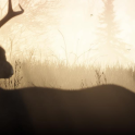 Bow hunting deer