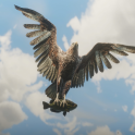 Eagle with fish