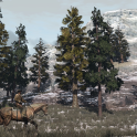 Towards the hills of Nekoti
