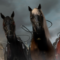 Behold – the Four Horses of the Apocalypse