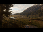 Elk on the frontier