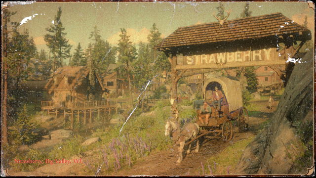 Strawberry Post Card